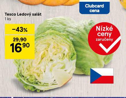 LEDOV SALT