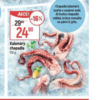 KALAMRY CHAPADLA