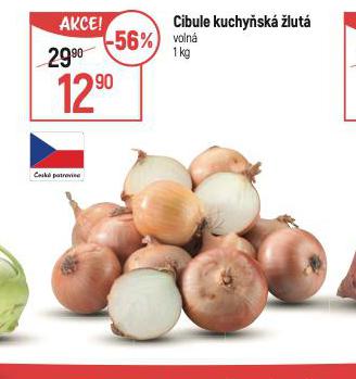 CIBULE KUCHYSK LUT