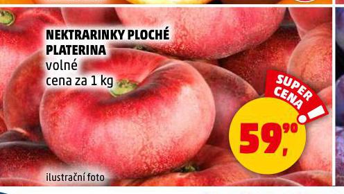 NEKTARINKY PLOCH