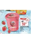 SMETANOV ZMRZLINA SORBET
