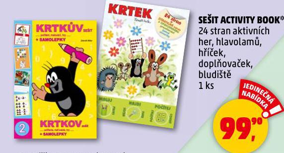 SEIT ACTIVITY BOOK