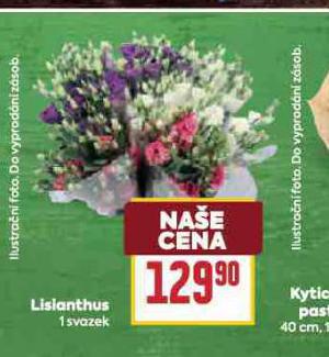 LISIANTHUS