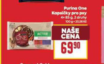 PURINA ONE KAPSIKY PRO PSY