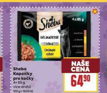SHEBA KAPSIKY PRO KOKY