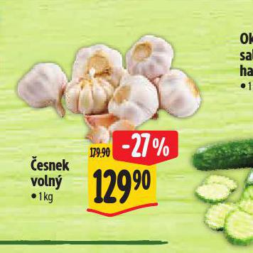 ESNEK VOLN