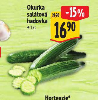 OKURKA SALTOV HADOVKA