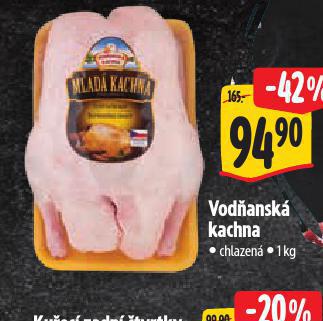 VODANSK KACHNA