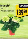 HORTENZIE