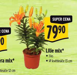 LILIE MIX