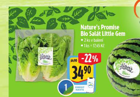 BIO SALT LITTLE GEM