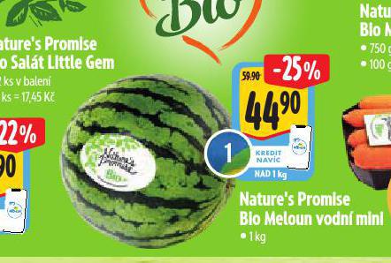 BIO MELOUN VODN MINI