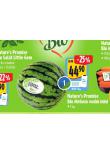 BIO MELOUN VODN MINI