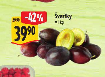 VESTKY