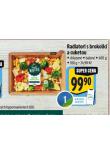 RADIATORI S BROKOLIC A CUKETOU