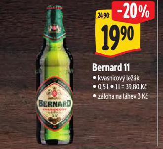 PIVO BERNARD