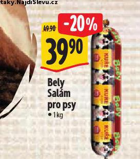 BELY SALM PRO PSY