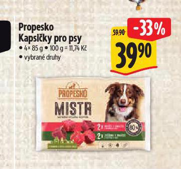 PROPESKO KAPSIKY PRO PSY