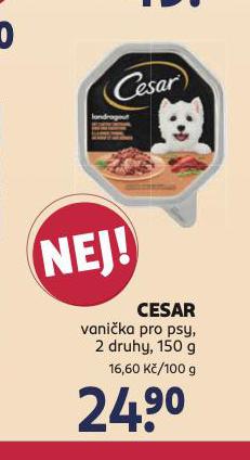 CESAR VANIKA PRO PSY