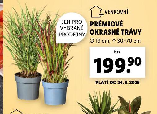 PRMIOV OKRASN TRVY