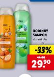 CIEN RODINN AMPON