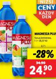 MAGNESIA PLUS