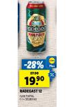 PIVO RADEGAST RYZE HOK 12