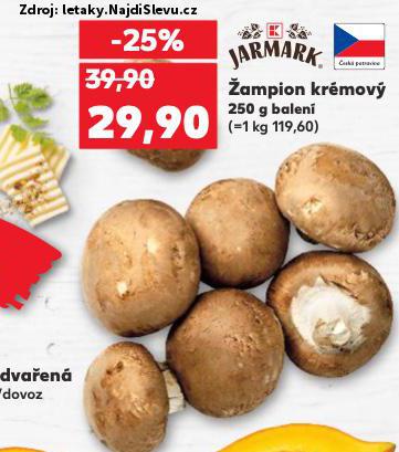 AMPION KRMOV