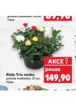 RَE TRIO MISKA