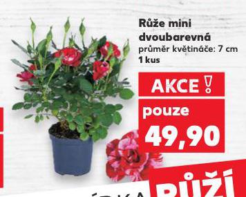 RَE MINI DVOUBAREVN