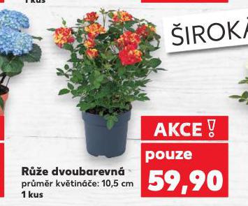 RَE DVOUBAREVN