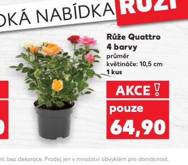 RَE QUATTRO