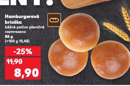 HAMBURGEROV BRIOKA