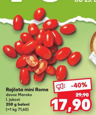 RAJATA MINI ROMA