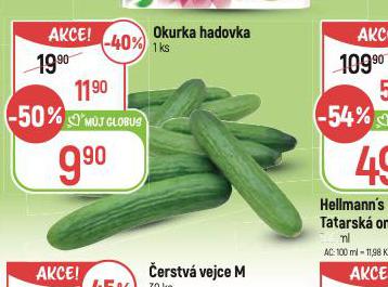 OKURKA HADOVKA