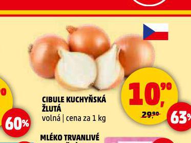 CIBULE KUCHYSK LUT