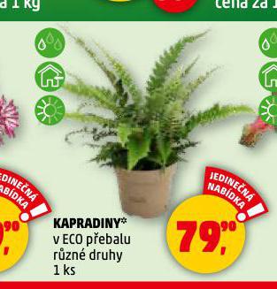 KAPRADINY