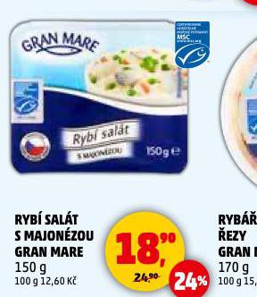 RYB SALT S MAJONZOU