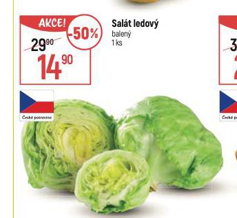 SALT LEDOV