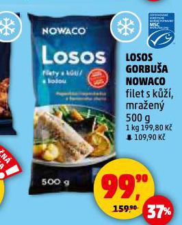 LOSOS GORBUA NOWACO