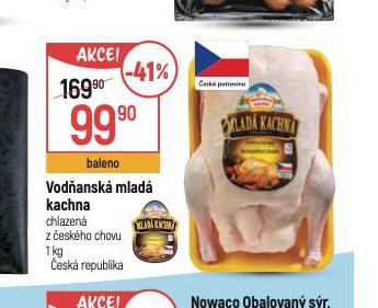 VODANSK MLAD KACHNA