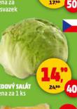 LEDOV SALT