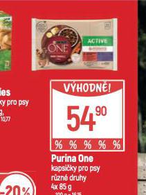 PURINA ONE KAPSIKY PRO PSY