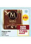 MAGNUM MINI