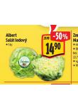 SALT LEDOV