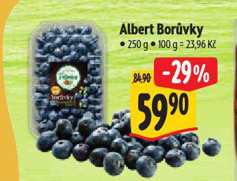 BORVKY