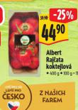 RAJATA KOKTEJLOV