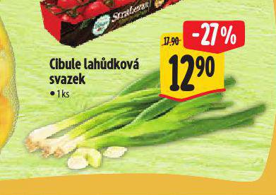 CIBULE LAHDKOV SVAZEK