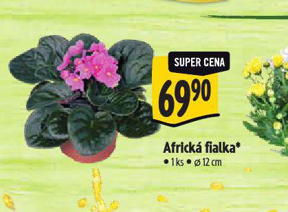 AFRICK FIALKA