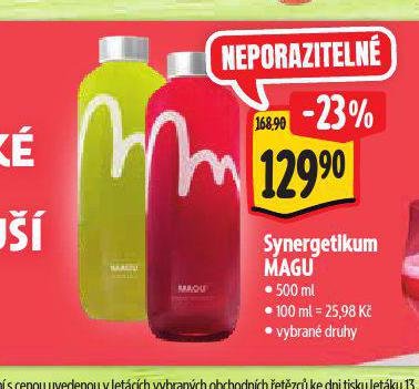 SYNERGETIKUM MAGU